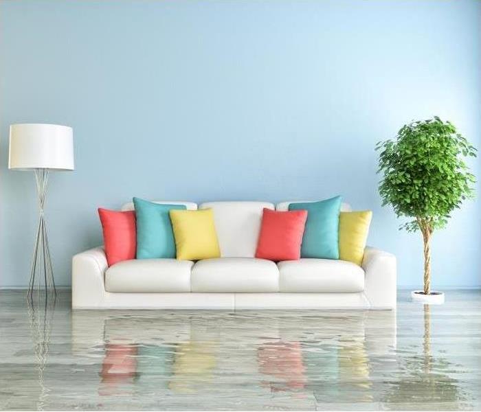 Flooding in modern living room