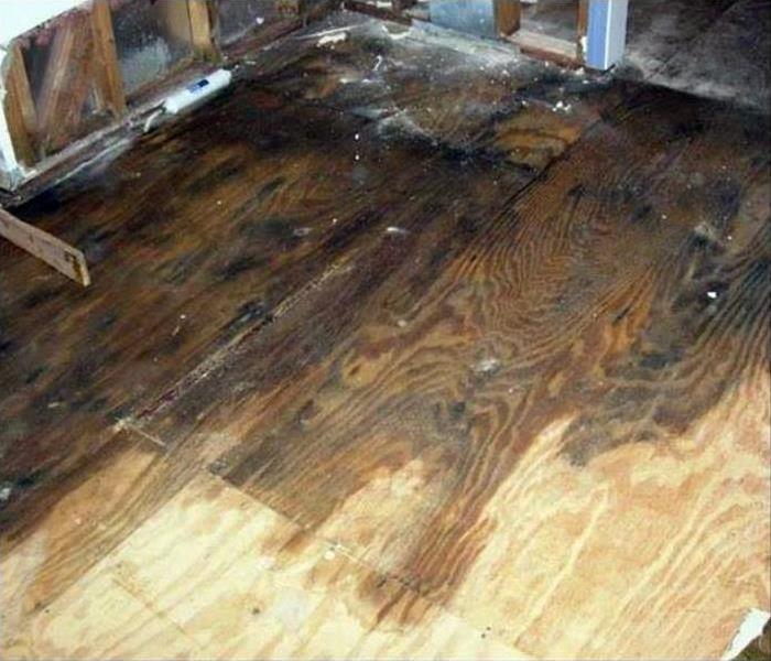 Wet wooden floor